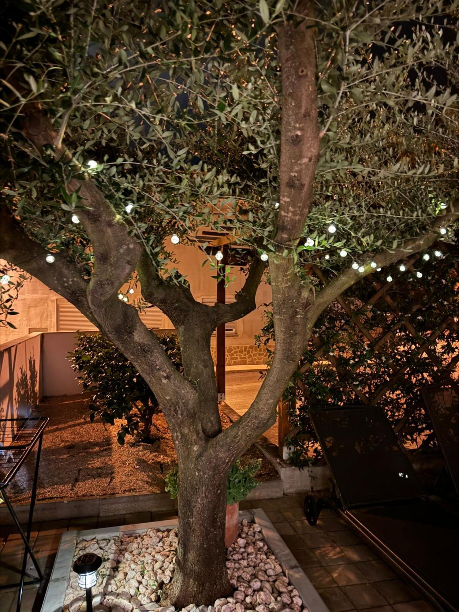 Apartments Noa Umag Extérieur photo